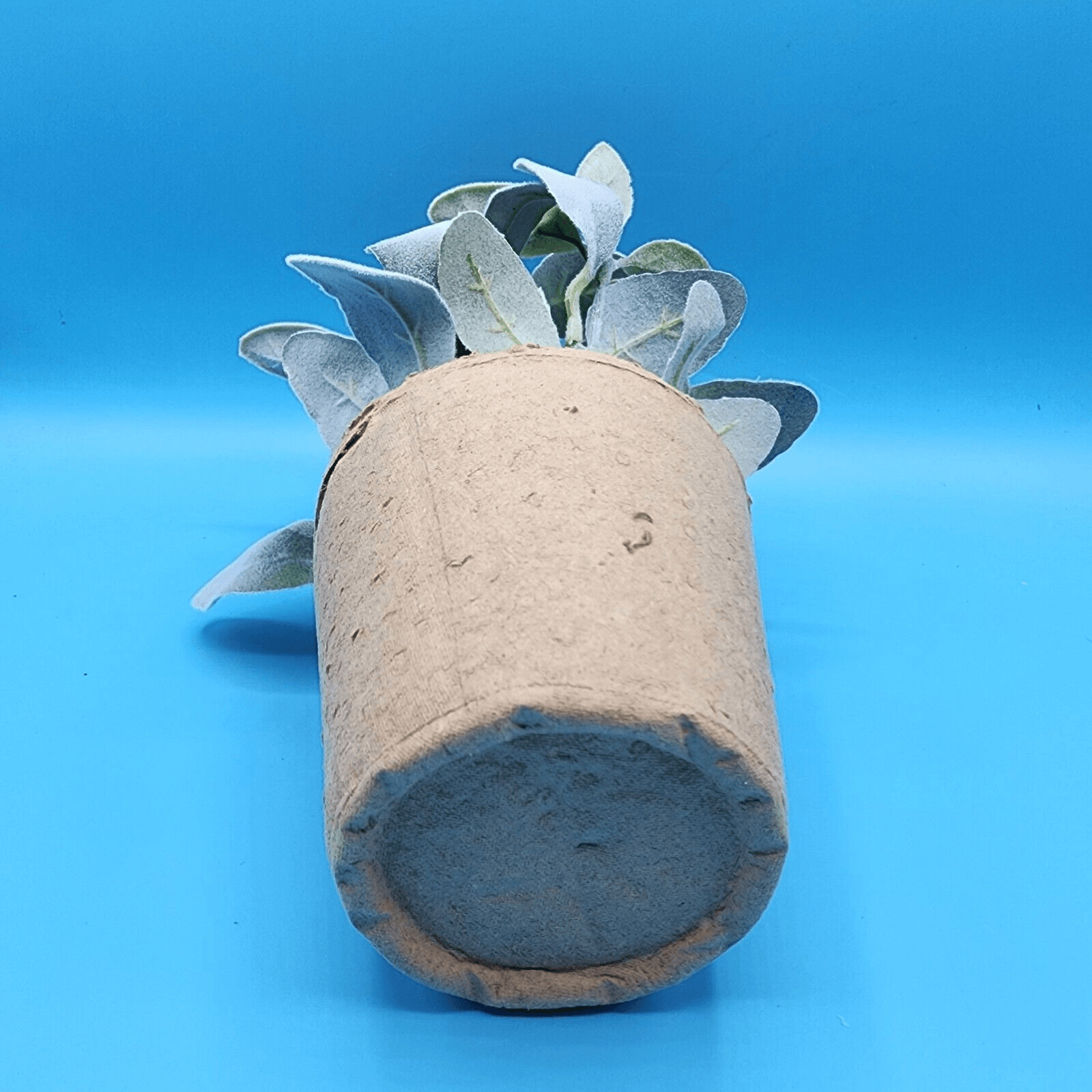 Flocked Lambs Ear Artificial Plant with Moss In Brown Paper Pot 10 inch
