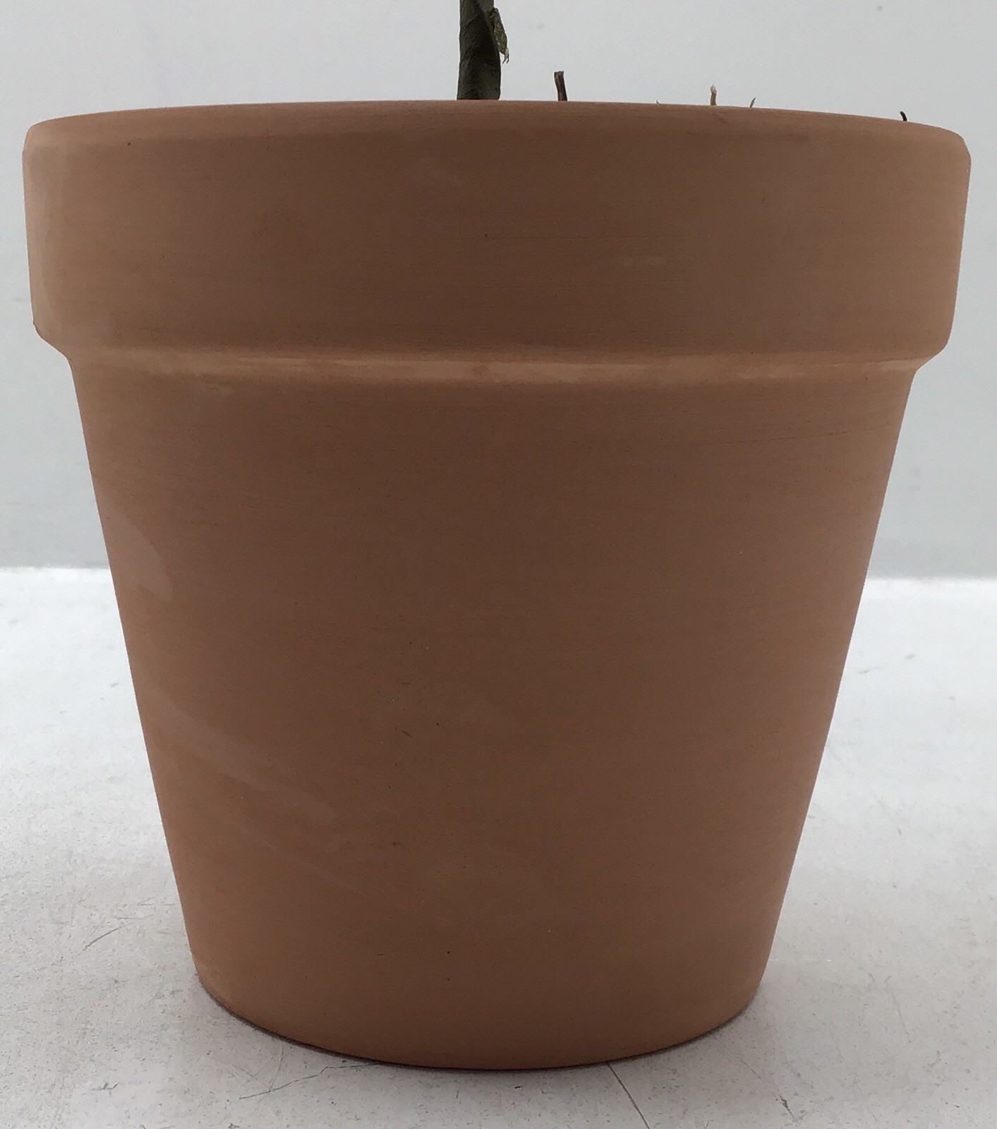 Transpac Faux Lemon Tree in Terracotta Pot Tabletop Plant 20 Inches Tall