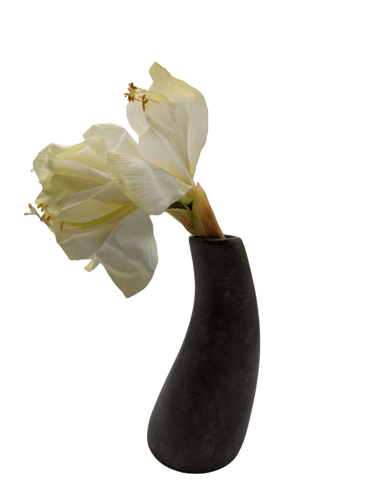 Rare Pier 1 Imports Ceramic Curved Potted Amaryllis Flower Home Decor 13 in