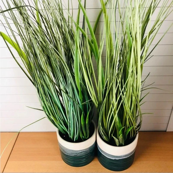 2-Pack Crate & Barrel Artificial Onion Grass in Porcelain Pots *NEW