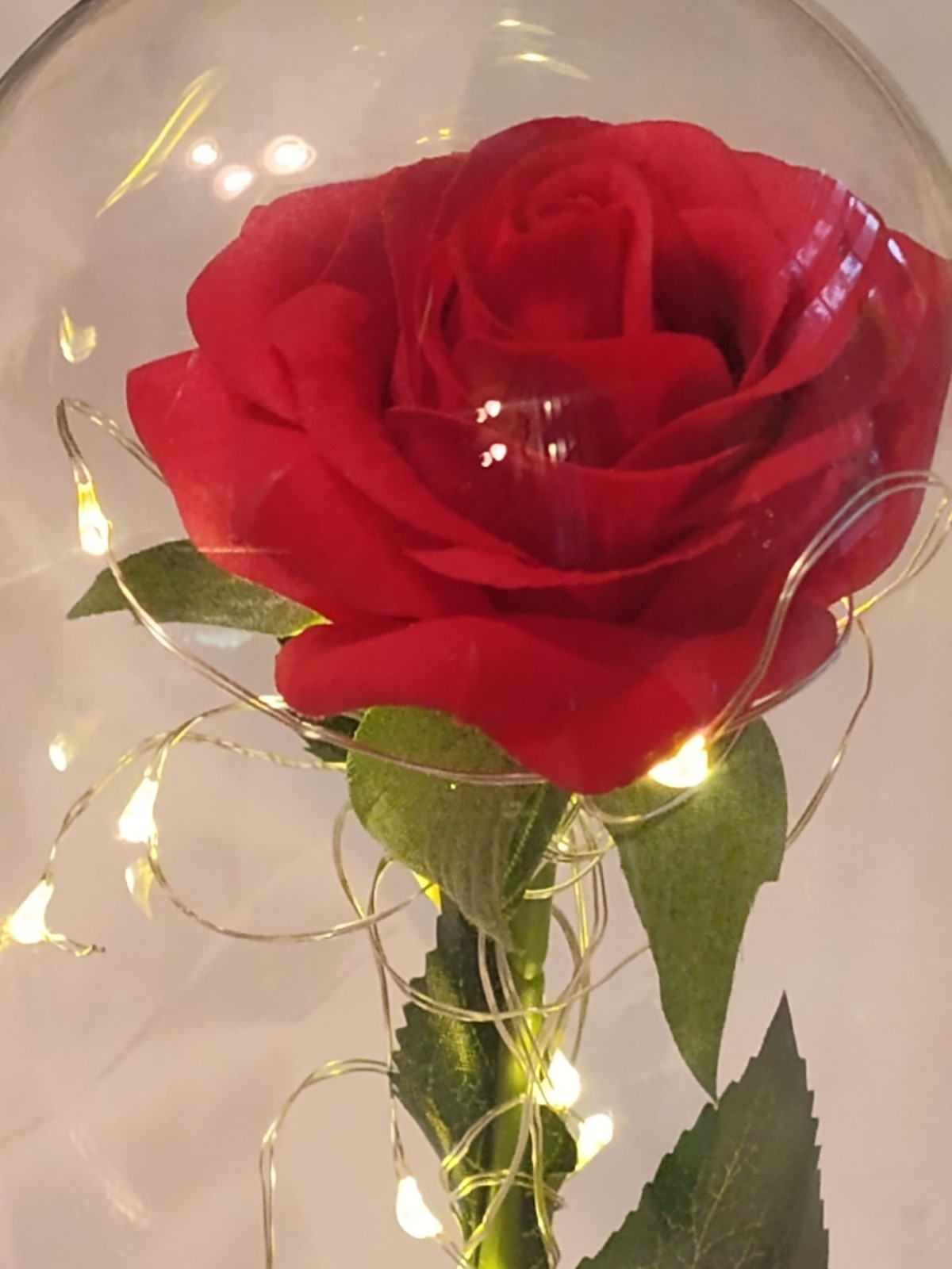 Dream Of Flowers Beauty and The Beast Rose Red Lasts Forever Wood Base lighted