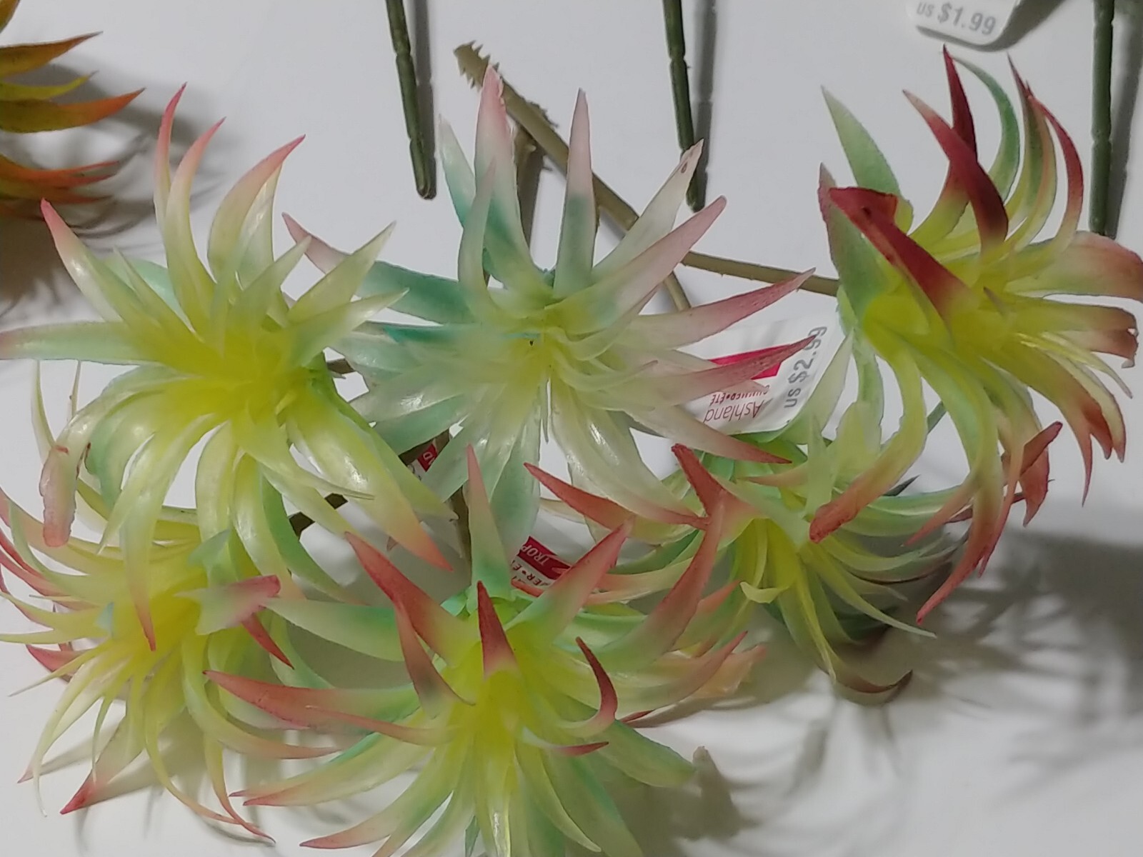 Ashland Tropical Floral Picks Greenery Sizes 3″ to 10″ Crafts Display Lot of 14