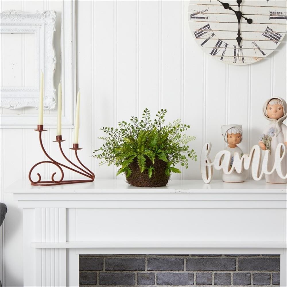 Pemberly Row Mixed Fern with Twig and Moss Basket in Green/Brown