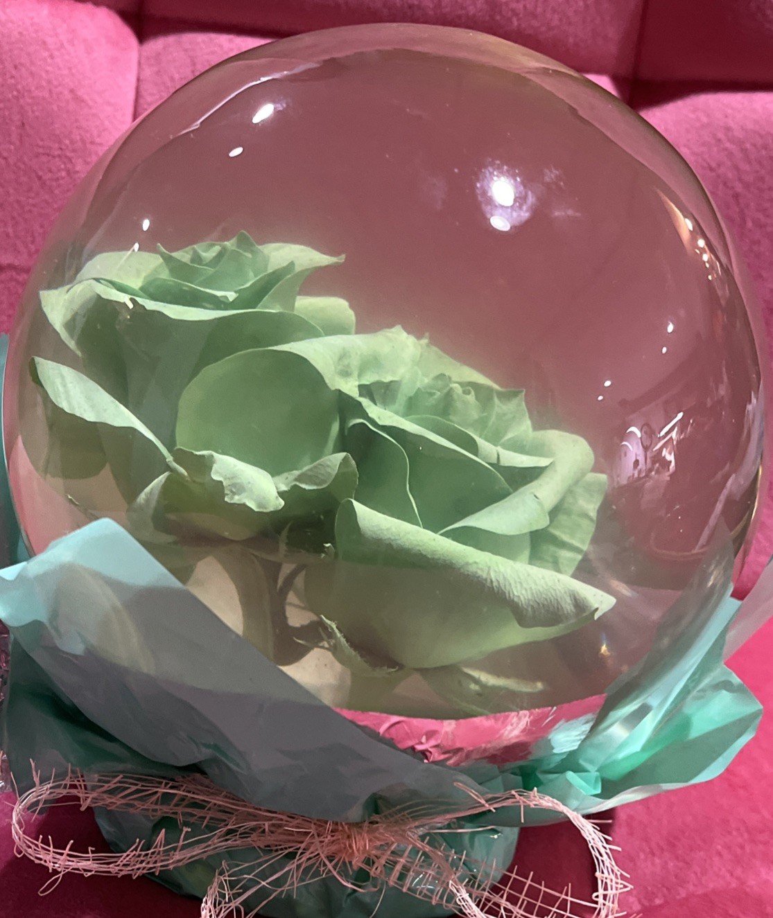 Vtg. Green Eternal Rose Real Preserved Rose Ball In Water Dome/Globe; Lg 6”-7”