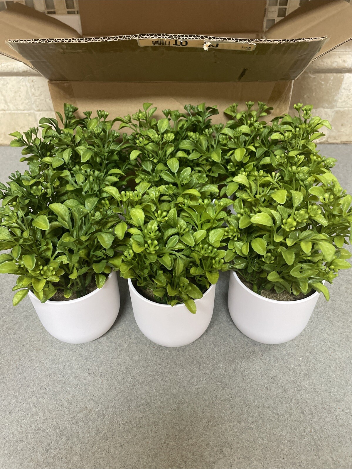 Box of 6 – Threshold Artificial Plants – 8″ Mini Boxwood Green / White Pot -NEW