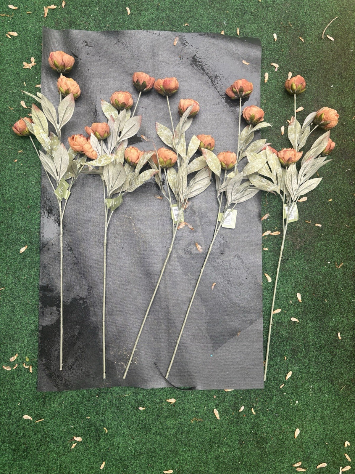 Ashland Michaels Tan Dried Peony Stems Set of 4 Decor TikTok Viral Flowers New
