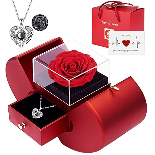 Preserved Real Rose with I love you Necklace 100 Languages, Gifts for red