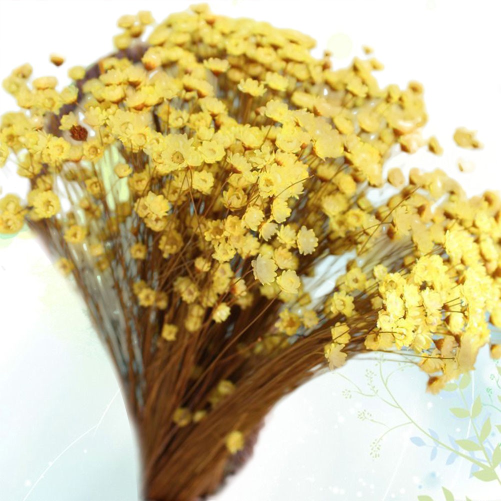 100Pcs Handmade Small Star Flower Dried Flowers Mini Daisy Yellow Floral Display