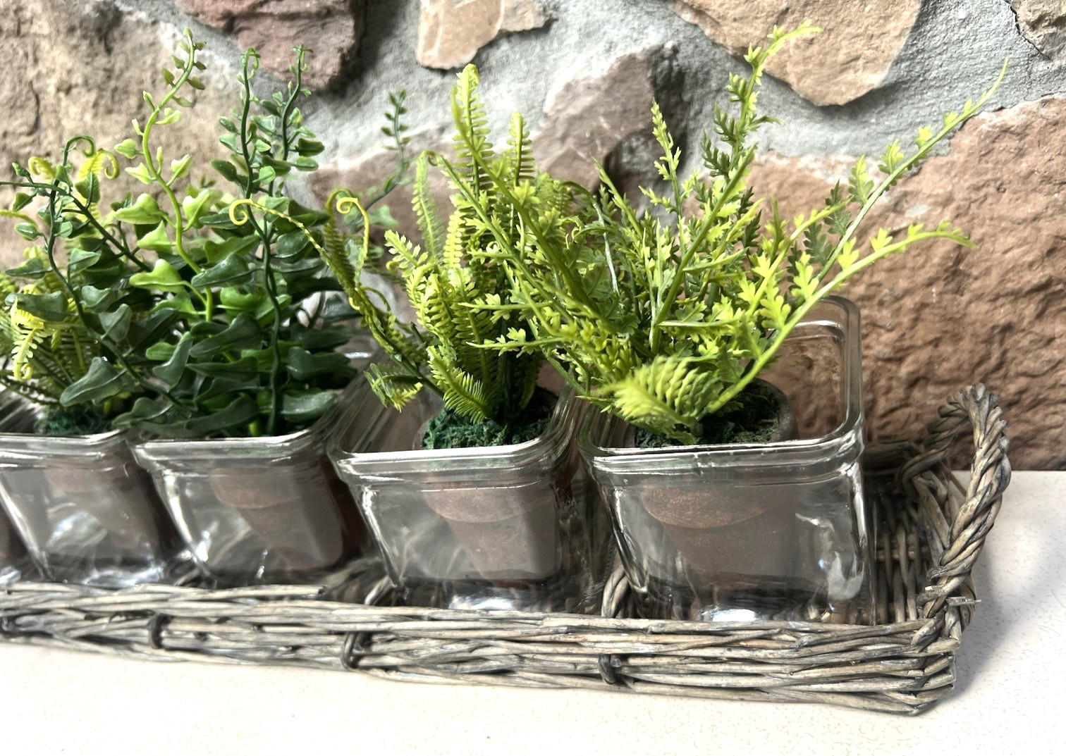 Tabletop Garden Mini Faux Fern Clay Pots With Rattan Wicker Tray & 5 Glass Vases