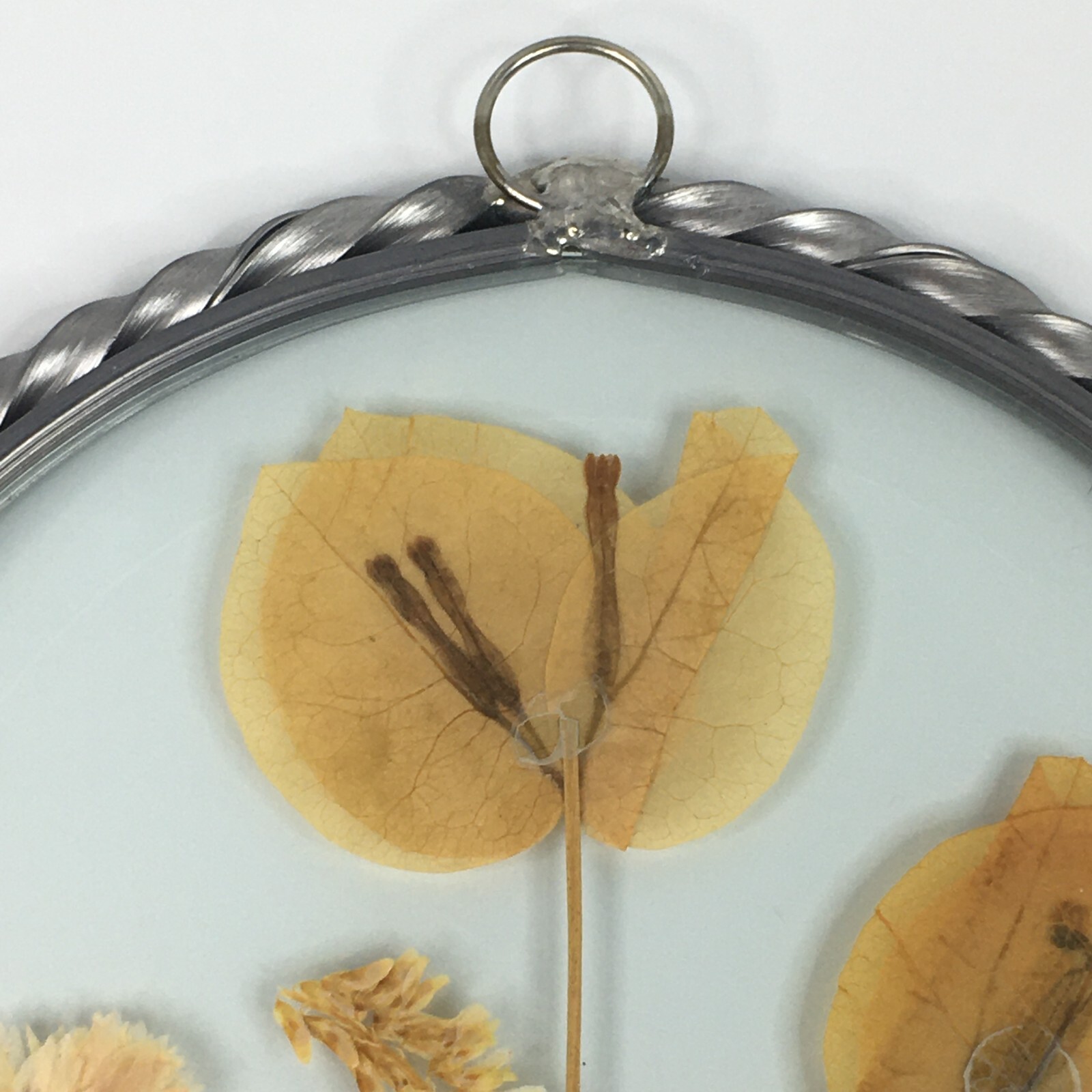 Lasting Impressions Real Flowers Glass Wall Hanging Pressed Flowers USA Floral
