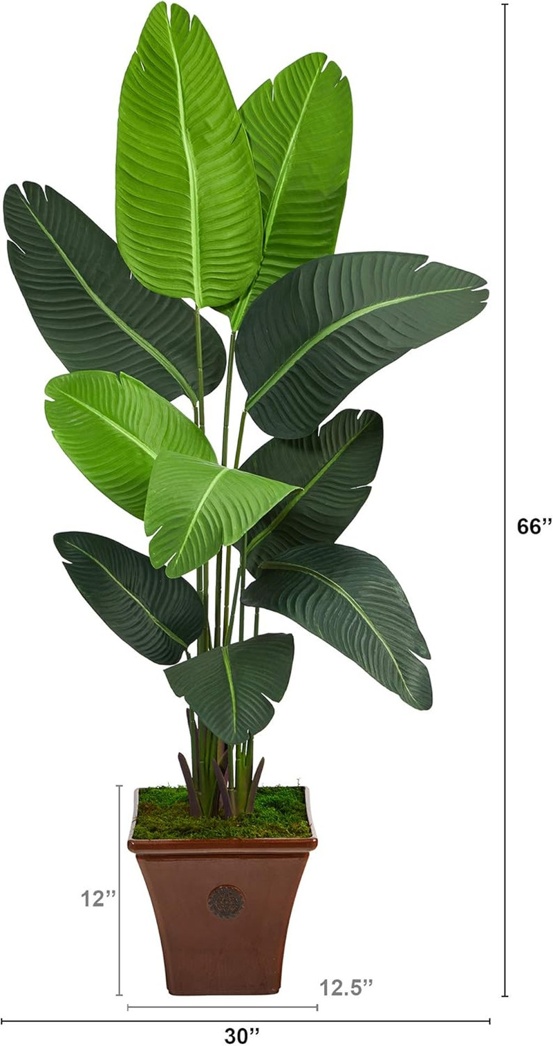 5.5Ft. Artificial Travelers Palm Tree in Stylish Brown Planter