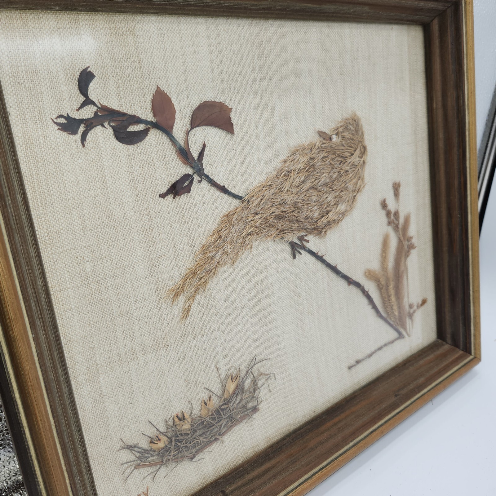 Vintage dried pressed flowers weeds taxidermy wall art bird 14 x 16 wood frame