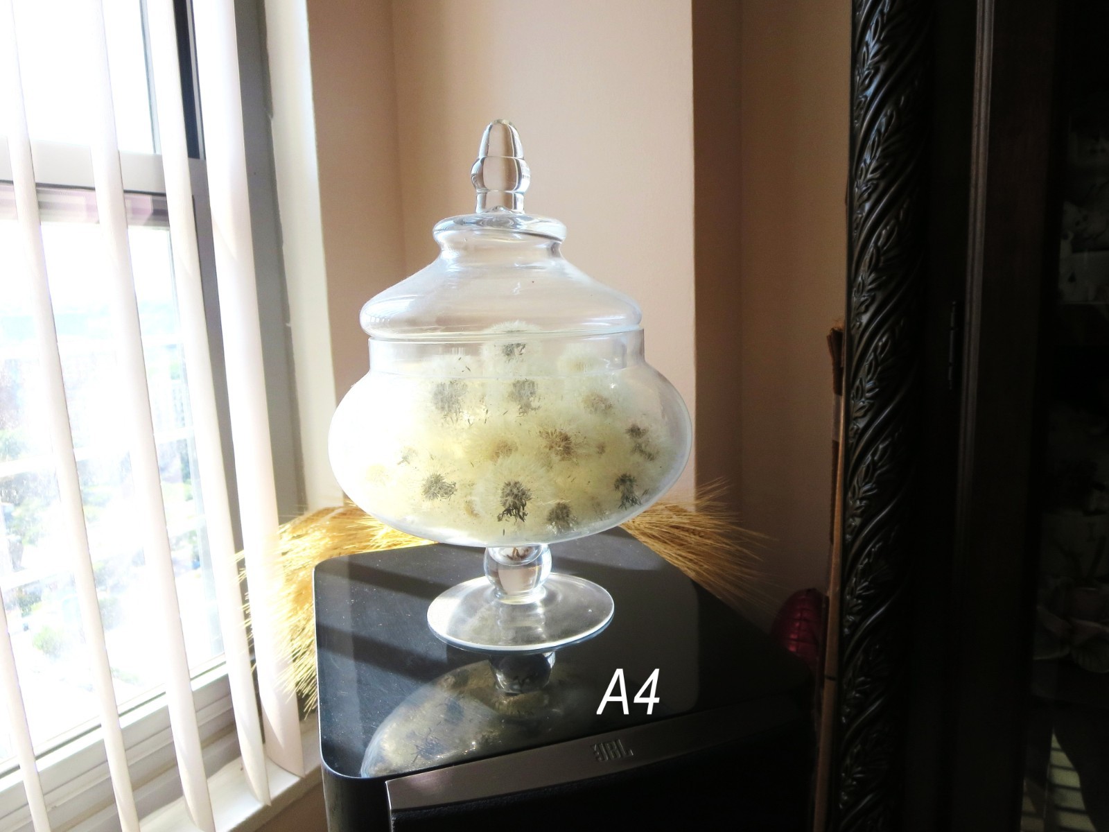 Dandelion In Glass Decoration Plant Flower Home decor Gift for her