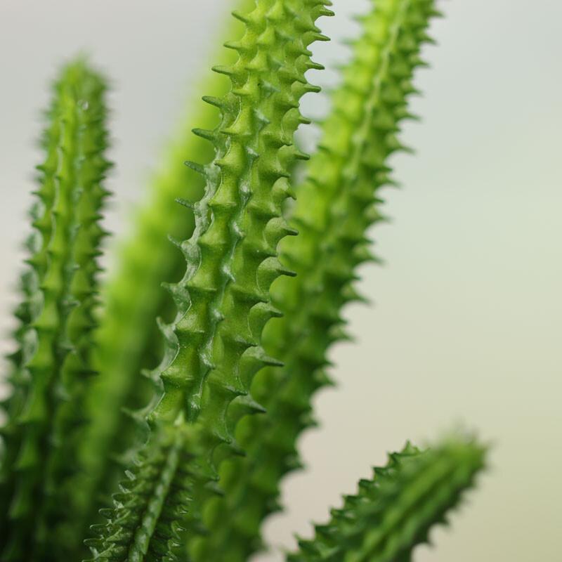 Artificial Finger Cactus Plant Picks