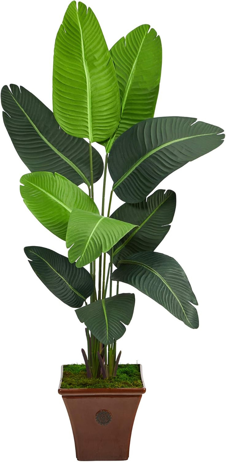5.5Ft. Artificial Travelers Palm Tree in Stylish Brown Planter