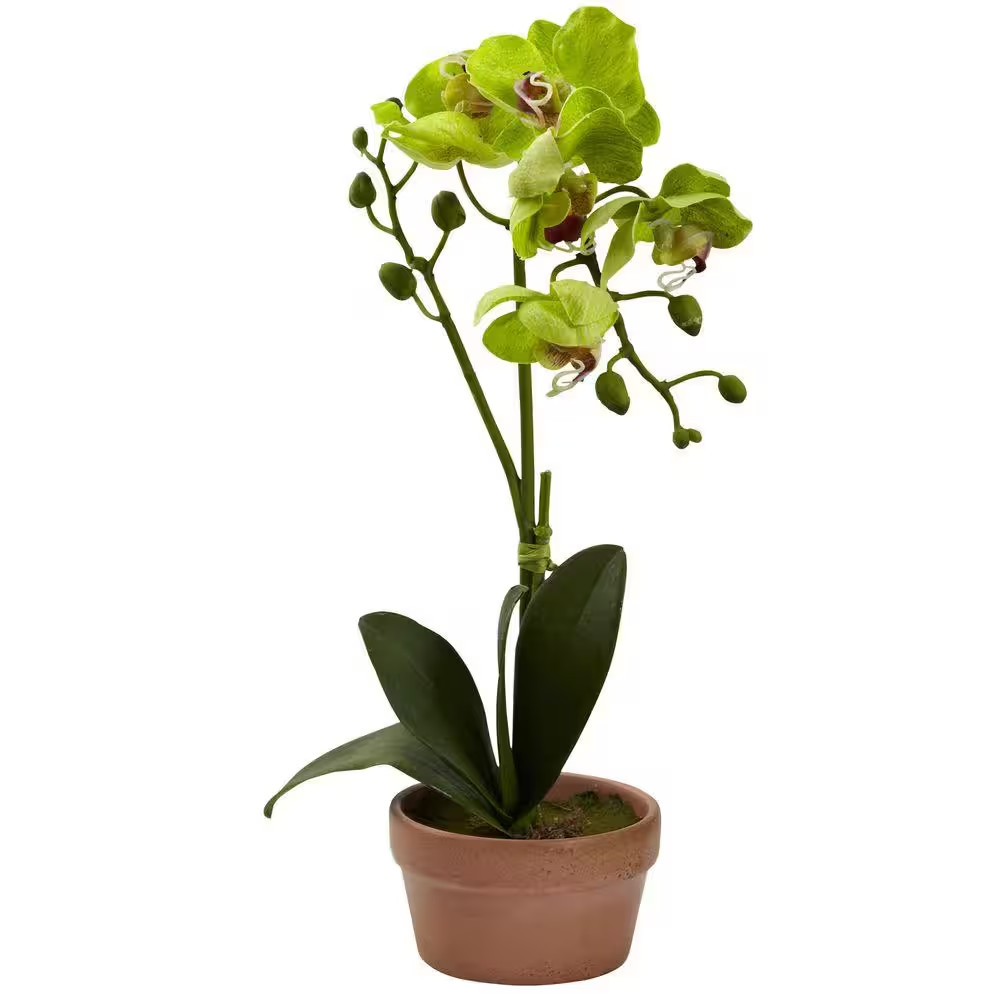 Artificial Phalaenopsis Orchid with Clay Vase (Set of 4)