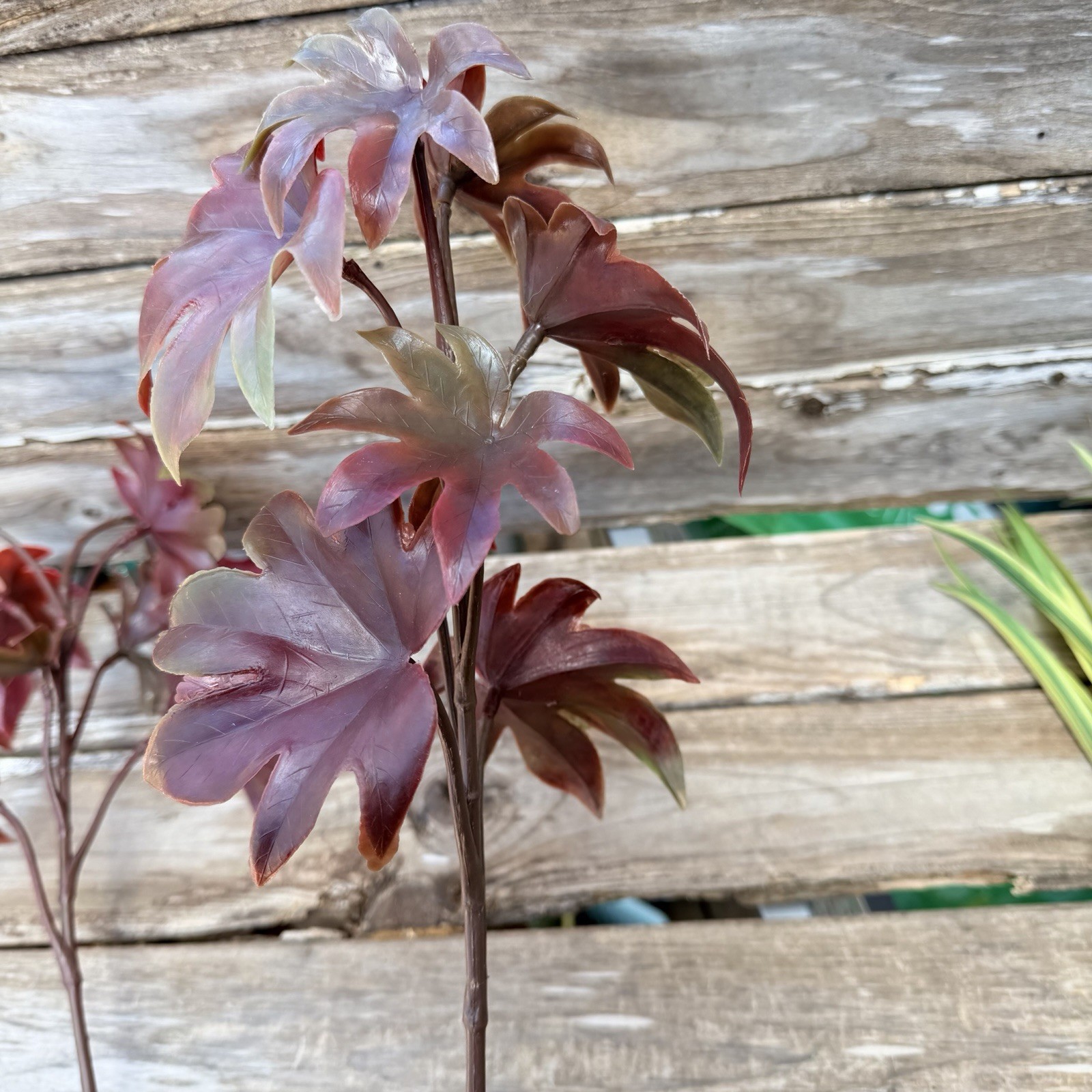 MCM Plastic Houseplant Stem Spider Plants and Japanese Maple Tiki Bar