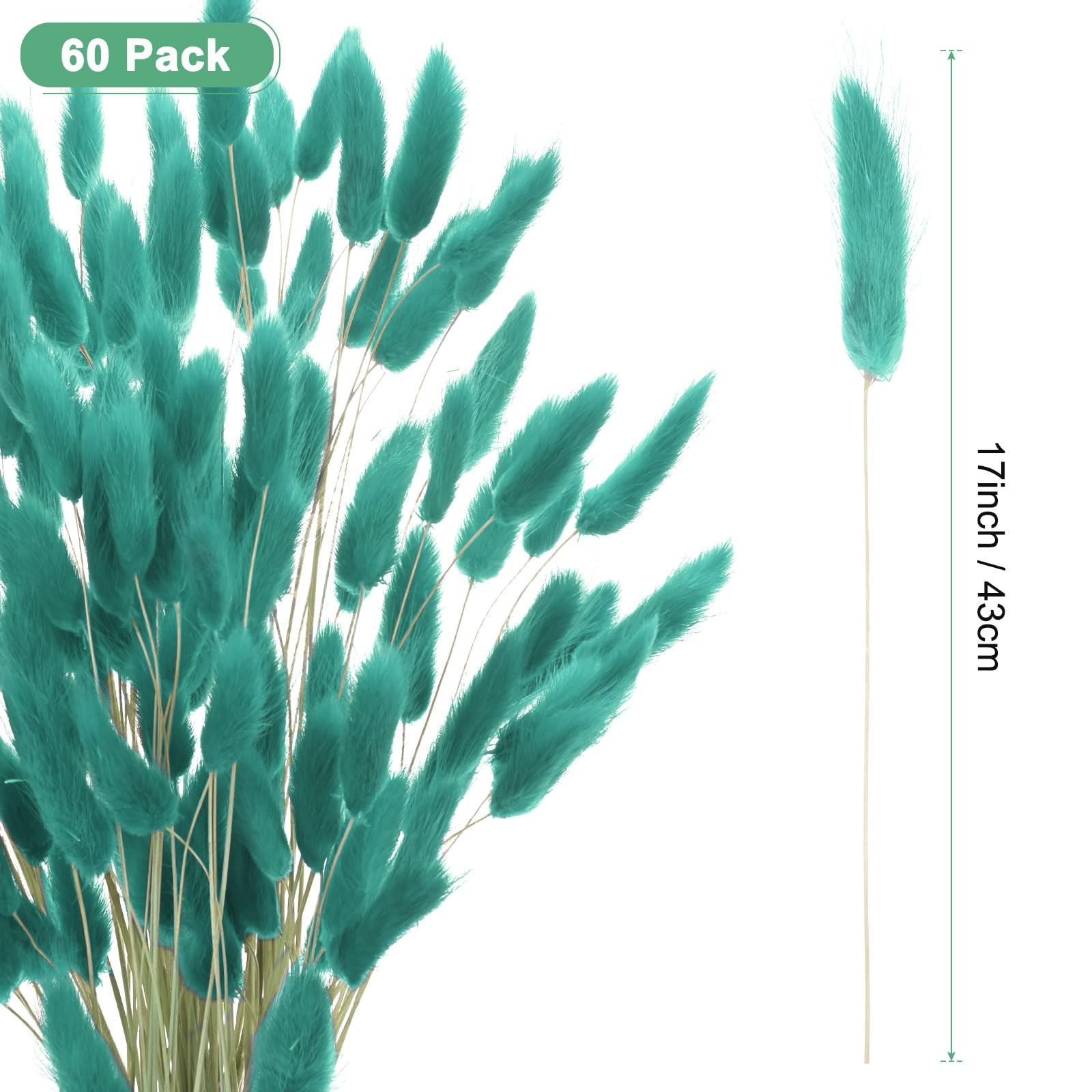 60-Pack Bunny Tails Grass 17 Inch Fluffy Rabbit Tail Grass Dried Flowers Bran…