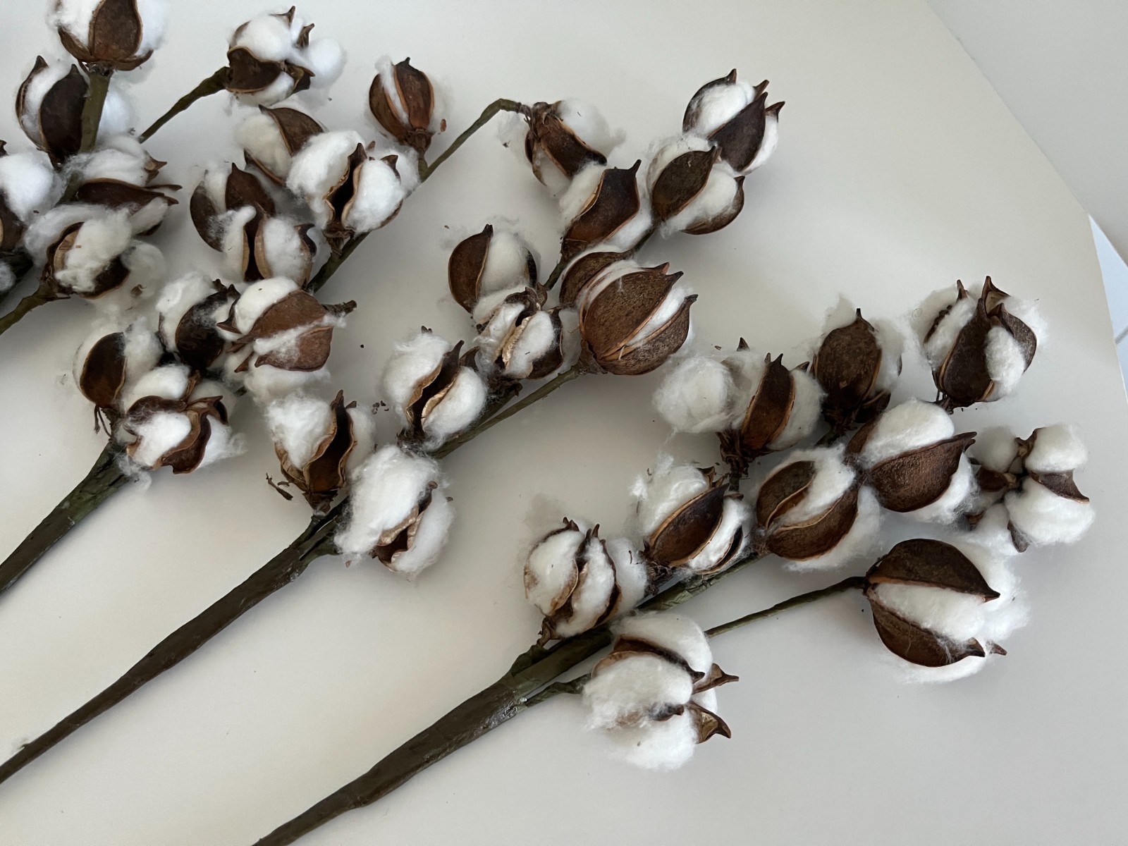 Cotton Pod Floral Picks Lot of 5 18″