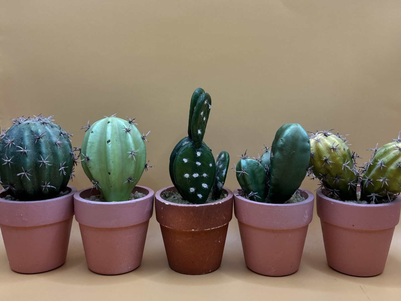 5- Artificial Cactus/ Succulent Plants 5”Tall, Terra Cotta Pots. Realistic