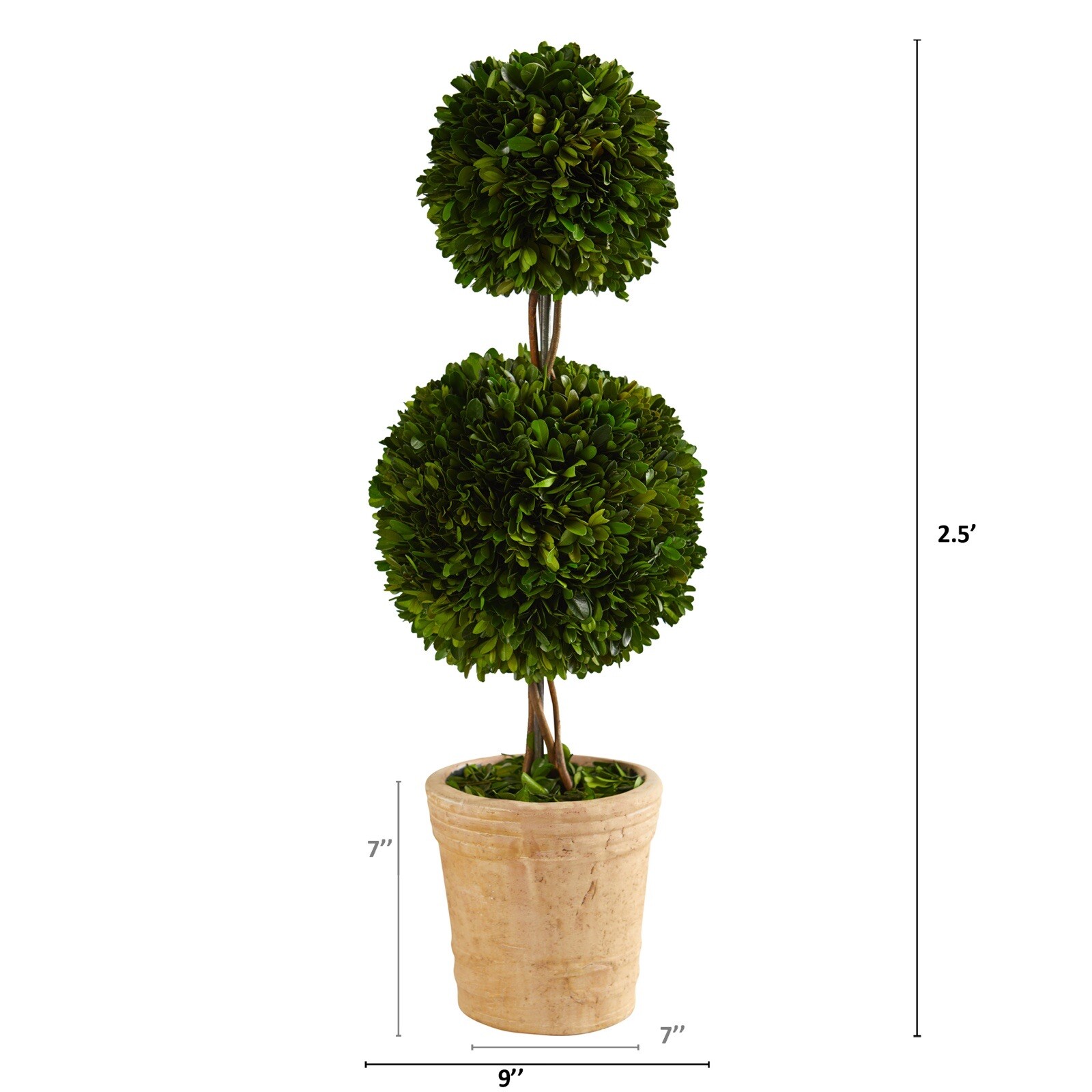 2.5’ Preserved Boxwood Double Ball Topiary Tree UV Indoor/Outdoor. Retail $145