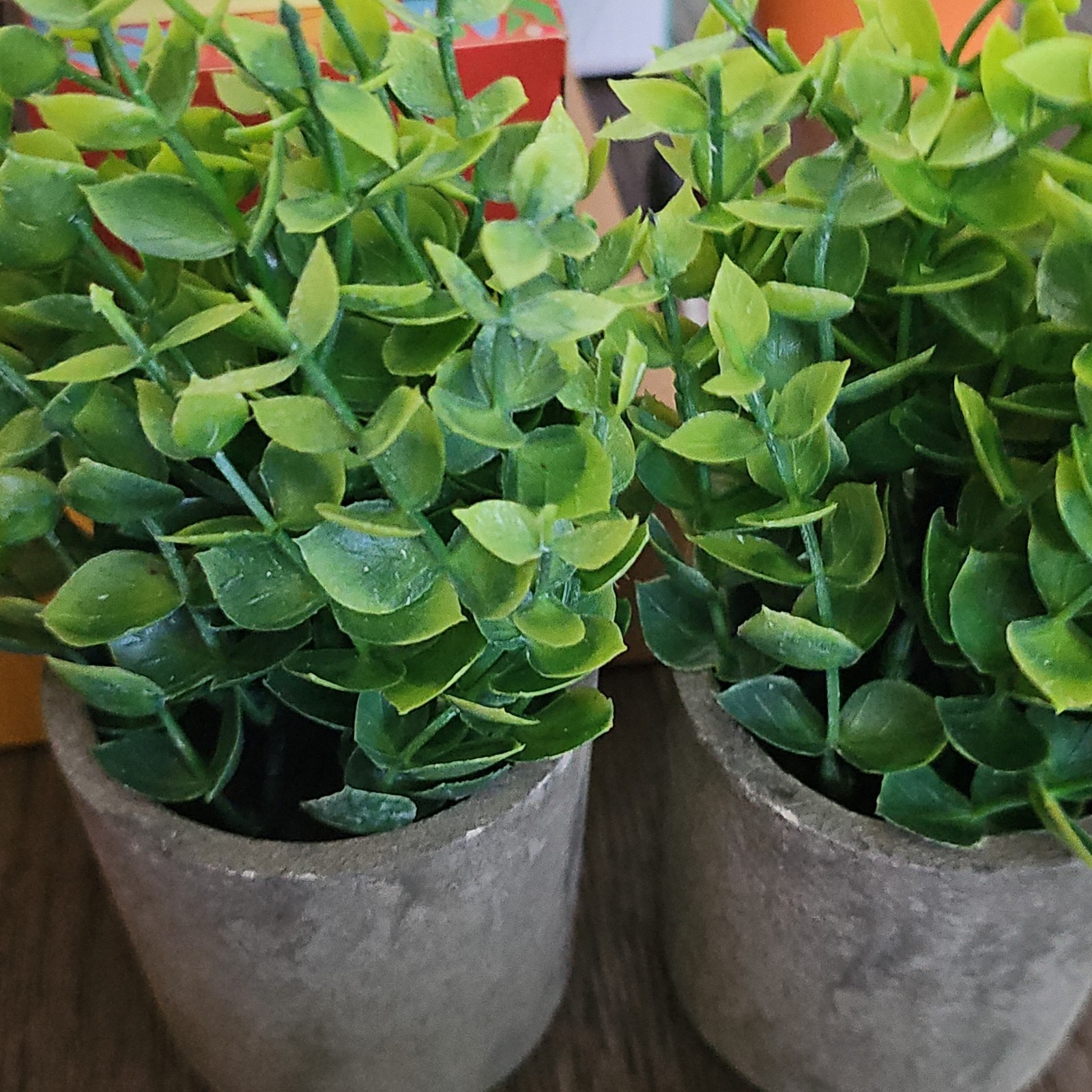 Artificial Green Succulent Leaf & Foliage in Gray Plastic Planter Pot Decor 8″