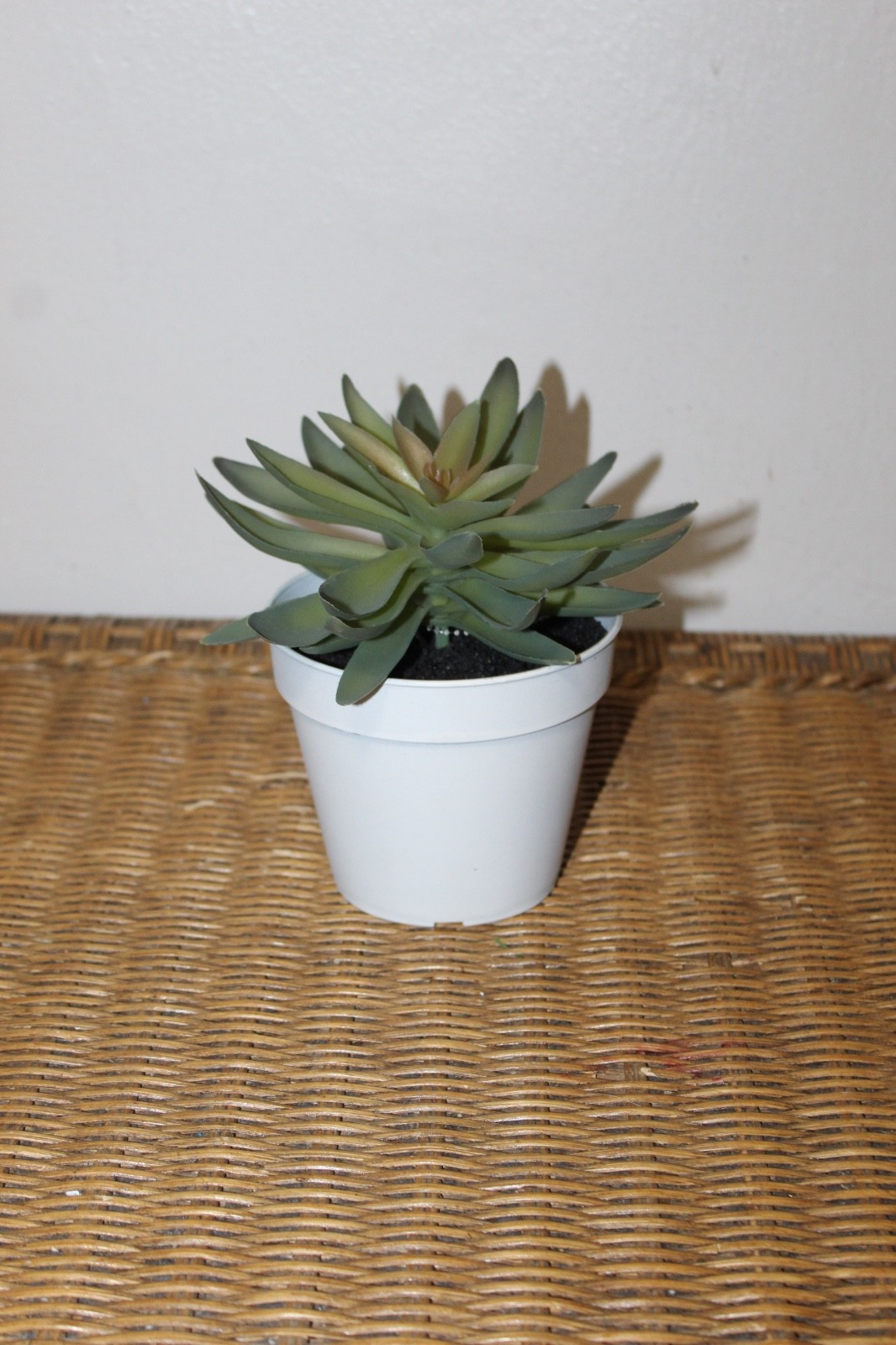 Williams Sonoma Artificial Potted Succulent (Rosette Style)
