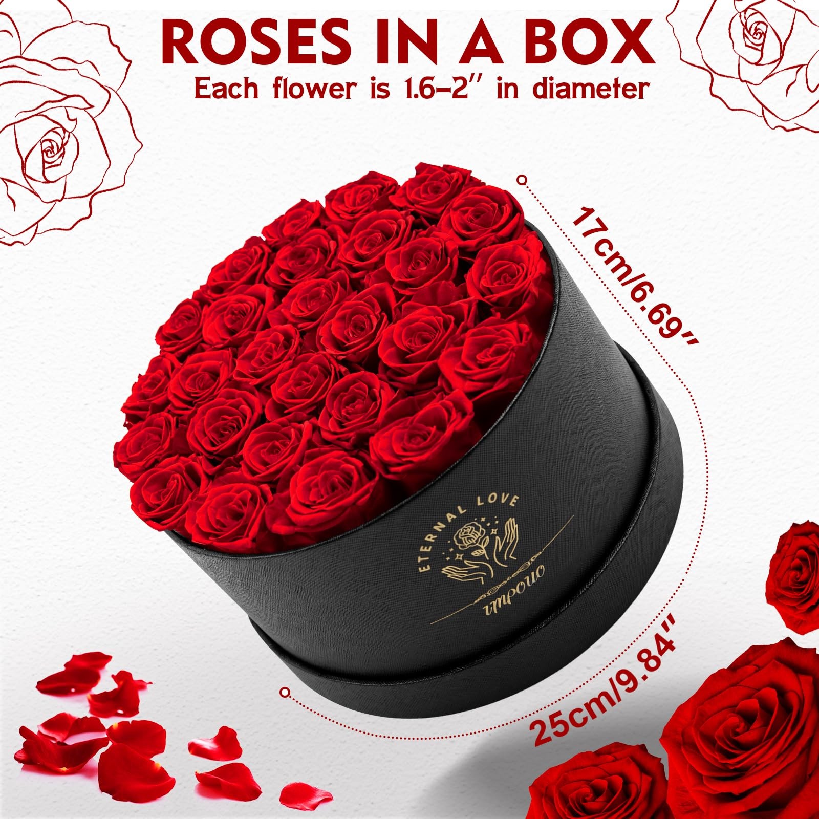 Impouo Forever Flowers, 27 Roses in A Box, Real Preserved Roses, Birthday Gift f