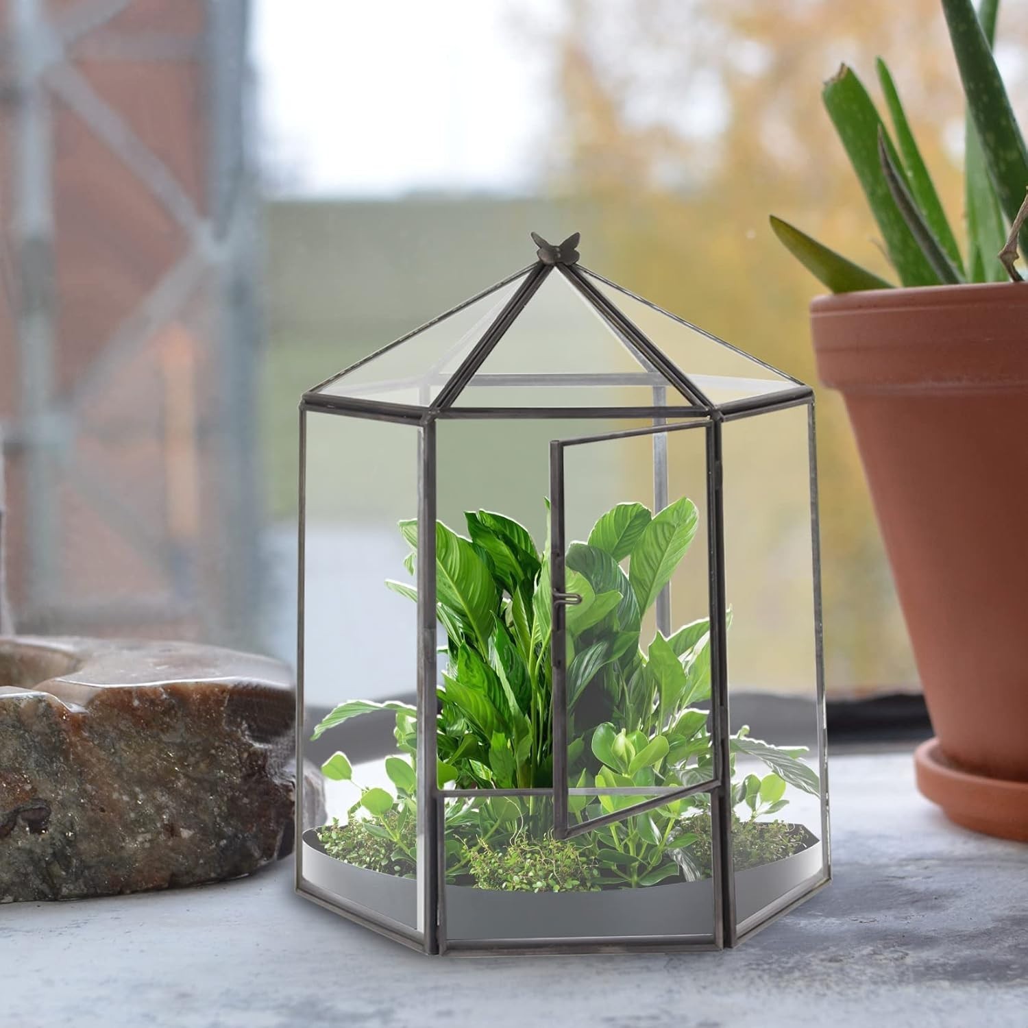 Hexagonal Black Plant Terrarium Kit