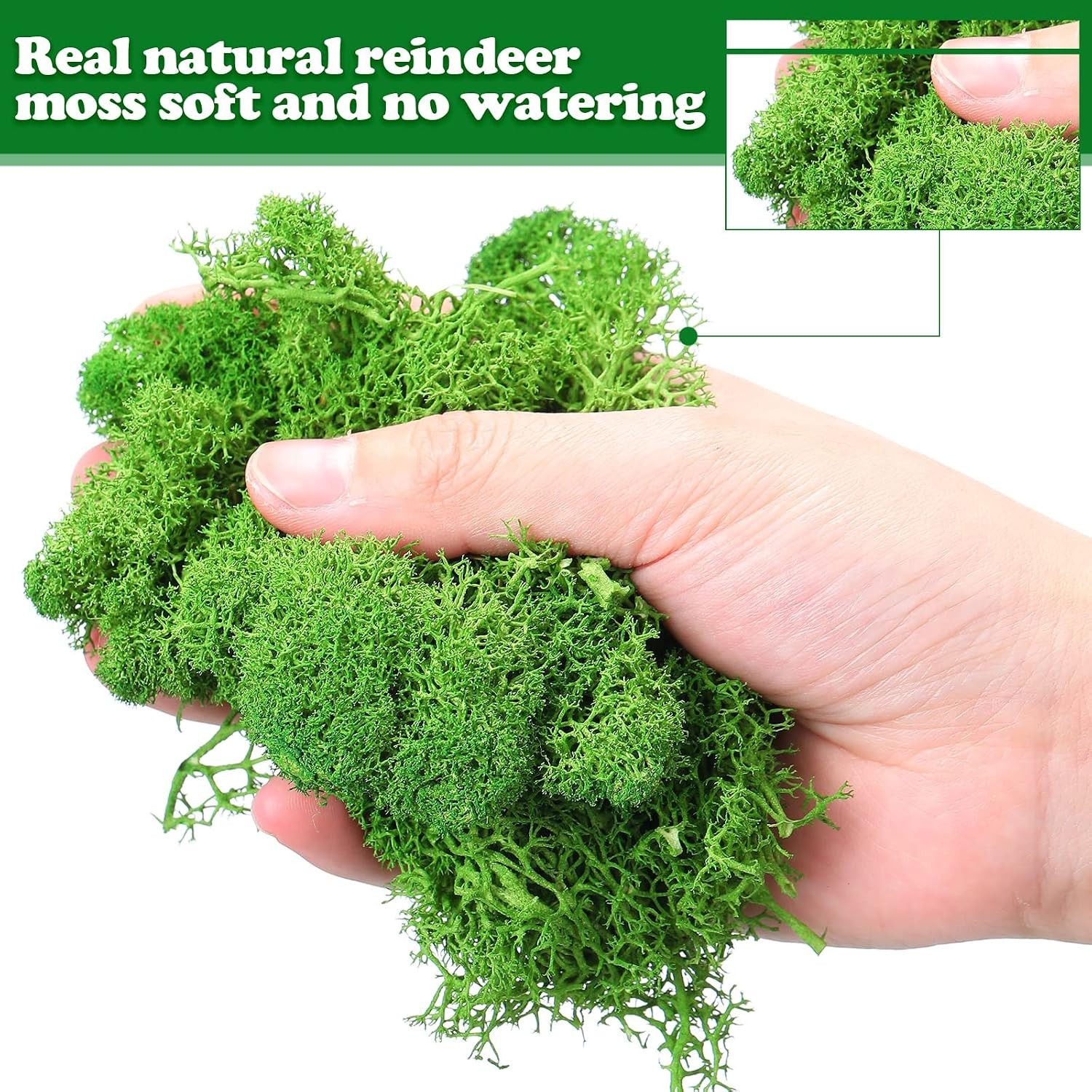 Jadive 21.2 oz Moss Preserved 1.32 Lbs Green Preserved Reindeer Moss Bulk Artifi