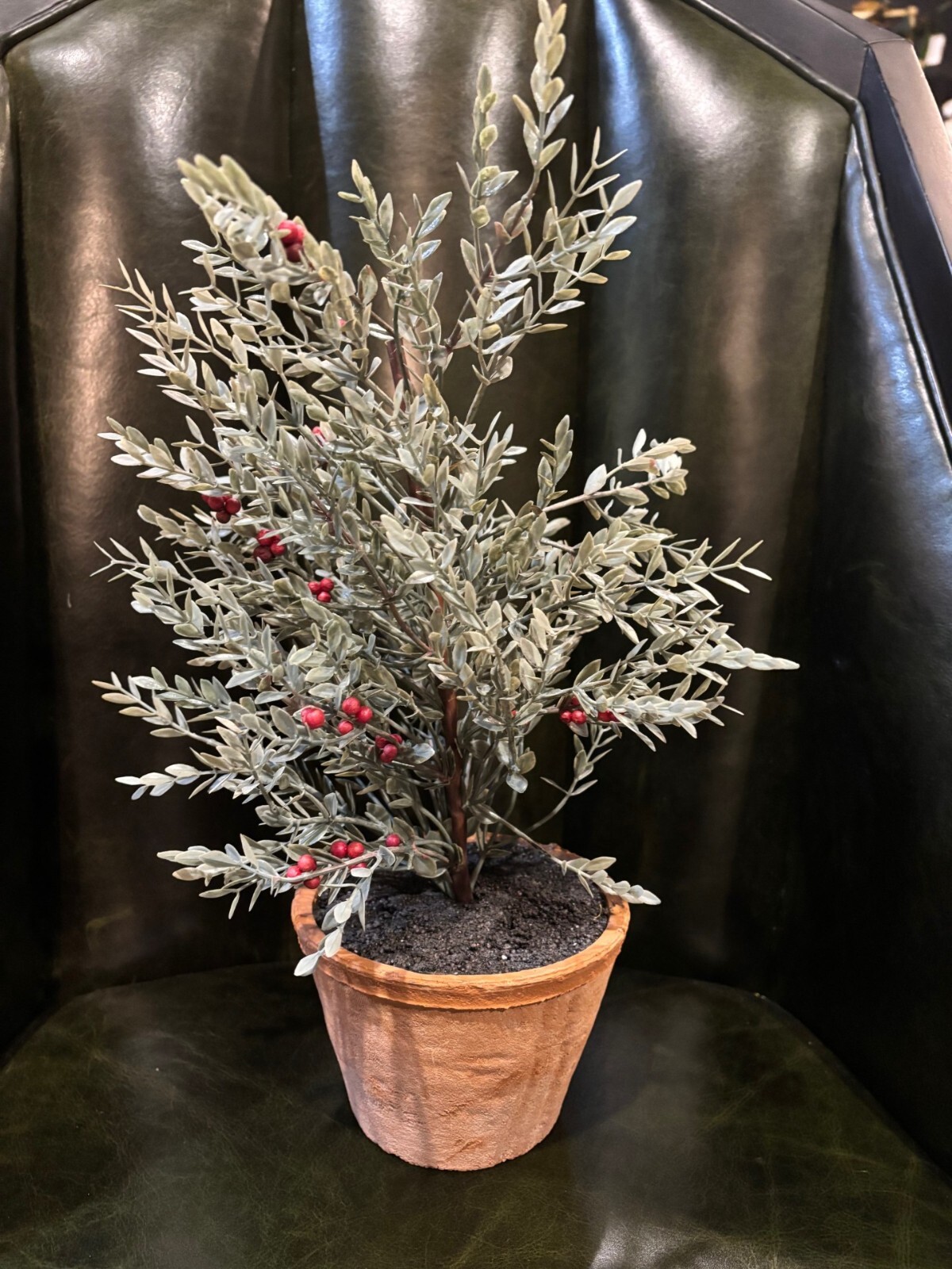 NEW Pottery Barn Red Berry Faux Branch Sage Topiary Terra Cotta Potted Plant NWT
