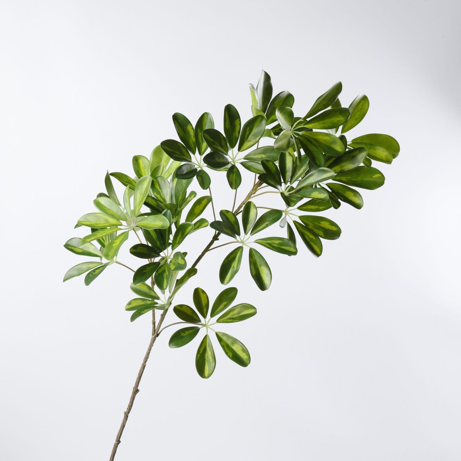 Artificial Ficus Benjamina Plant with Simulated Bamboo Leaves