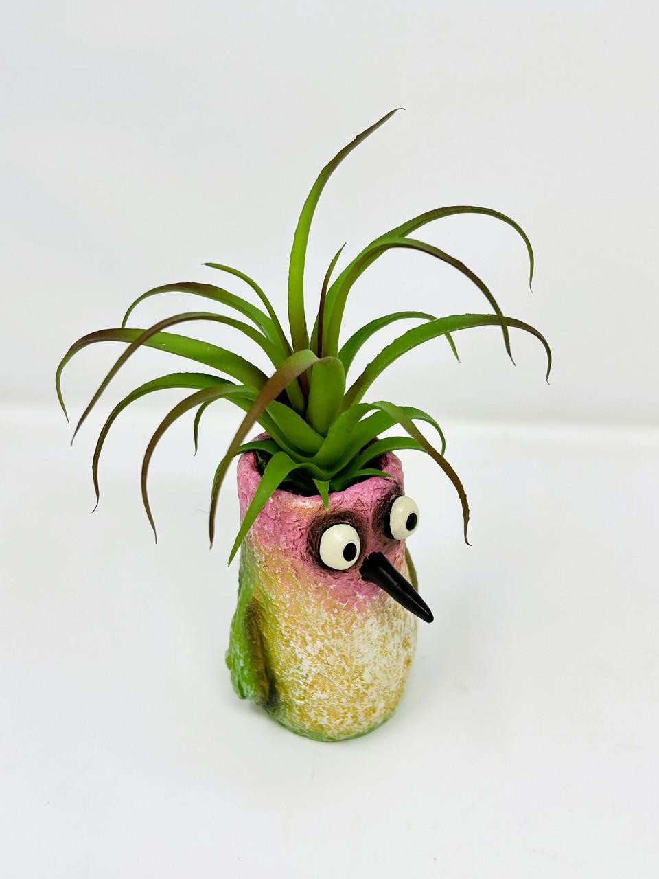 8″ Potted Flit HUMMINGBIRD Blob House Mini pot WITH faux Harrisii Air Plant