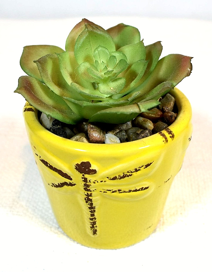 Echeveria & Echeveria/Jade Mix ARTIFICIAL SUCCULENT PLANTS, Set of 2 In Pots