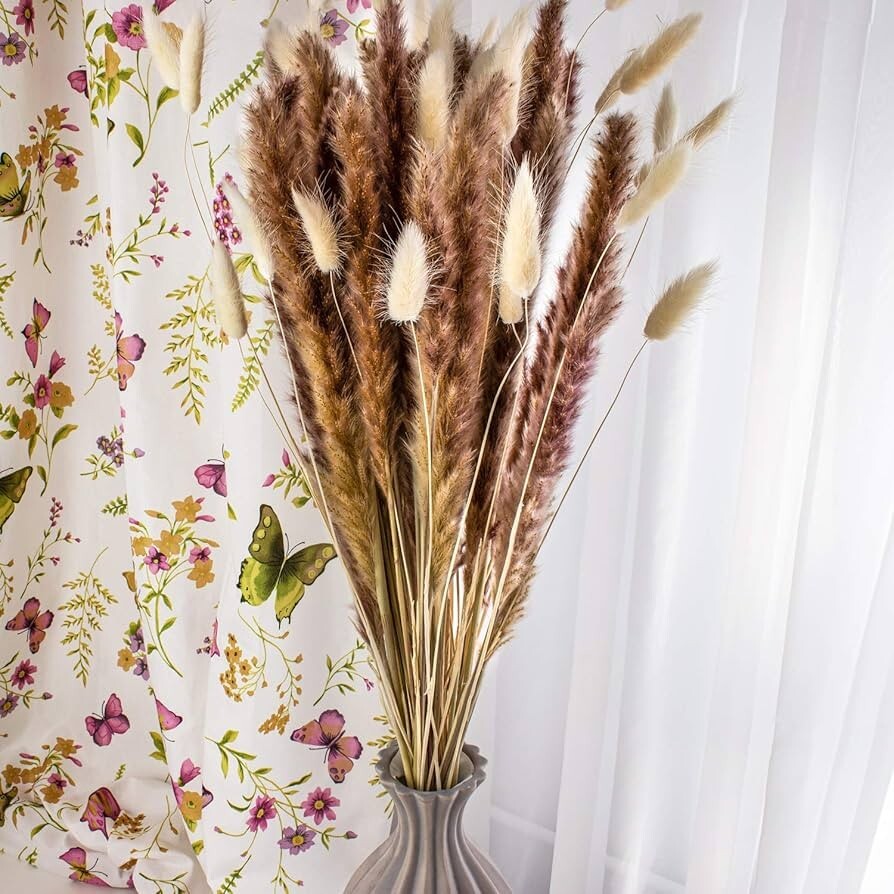 Jade Luxe dried Pampas Grass 60pcs 24″