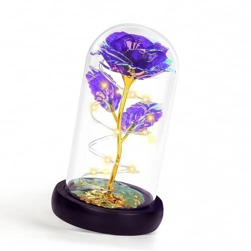 Enchanting Glass Dome Rose with LED Light – Perfect Gift for All Occasions