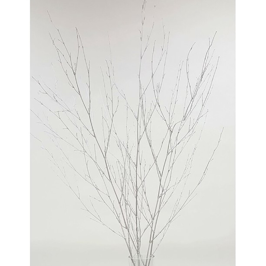 Bamboo Spray Pack of 6 Branches 3-4 ft Silver