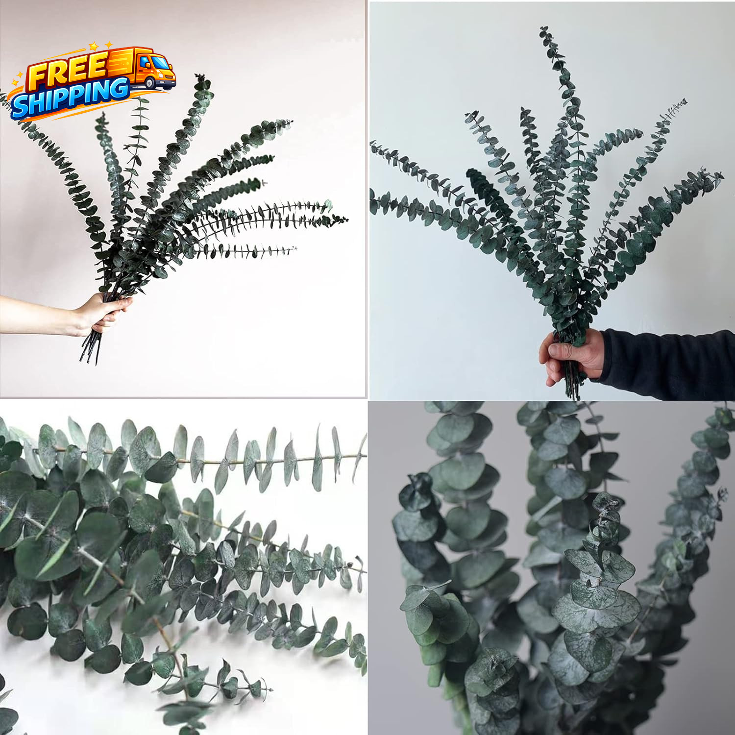 Eucalyptus for Shower 10 Pcs Hanging Dried Eucalyptu Stems 17 Real