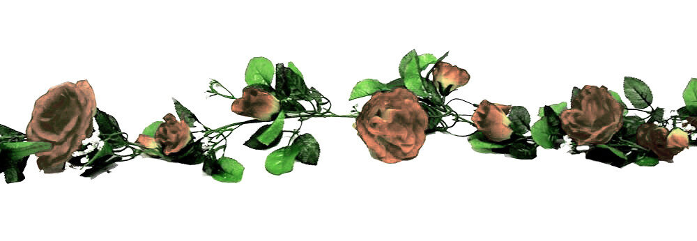 Rose Garland Set of 2 68in Coffee