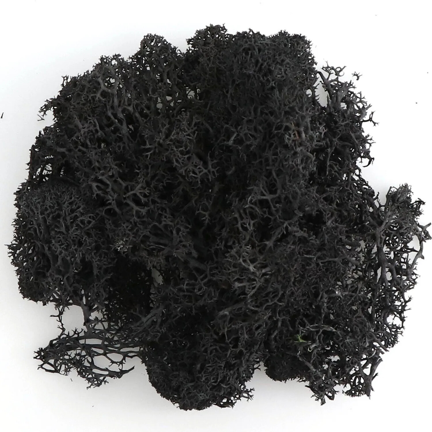 20g Artificial Green Moss Plants Fake Grass Eternal Life Grass Mini Landscape