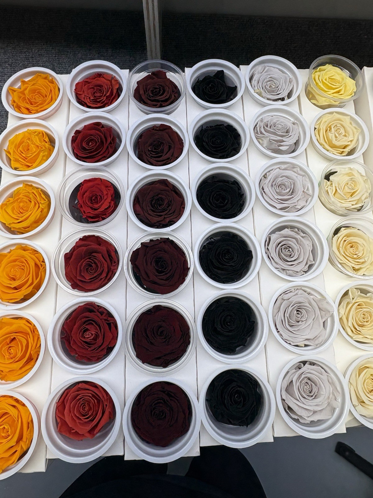 Eternal Roses Bulk 10 Packs of 6
