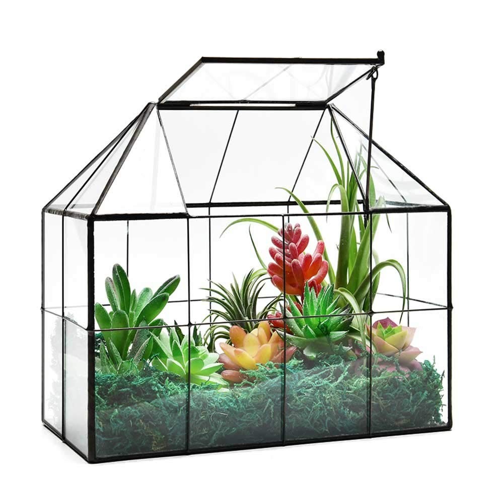 Large Glass Terrarium Planter – Succulent Greenhouse with Lid, 9.8″x7.9″x5.9