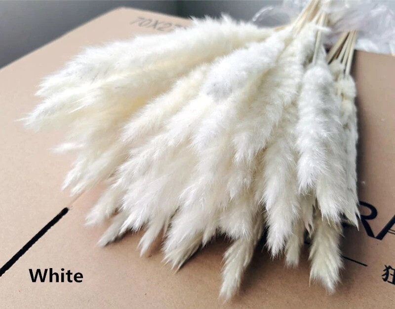 15Pcs Pampas Grass Wedding Home Decor 50cm Stems Real Dry Flower Pantas Dried