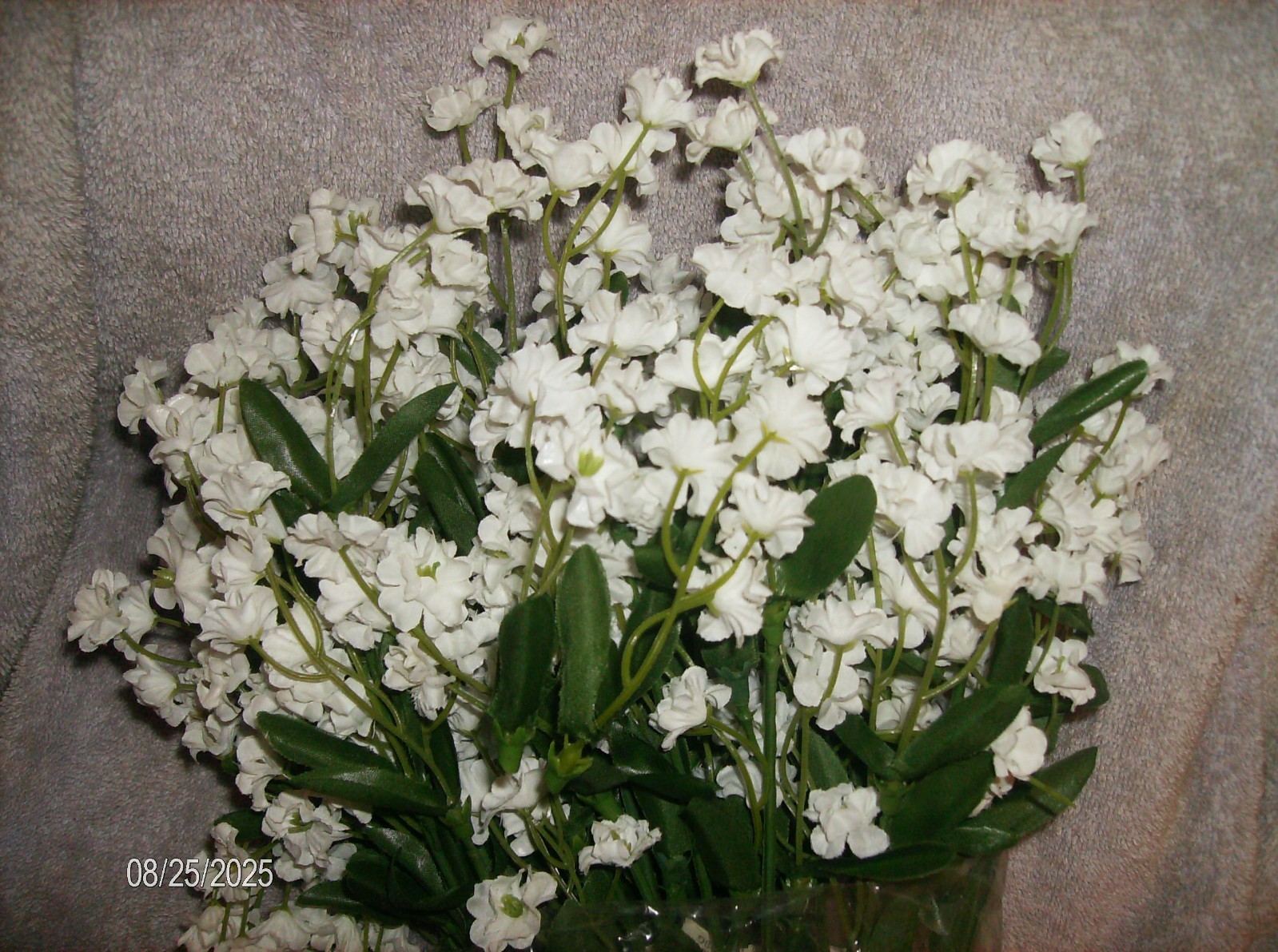 1 DOZEN WHITE BABYS BREATH SPRAYS DARCE WASHABLE SILK 12 PC NEW IN PACKAGE