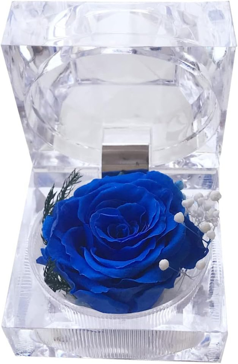 Preserved Rose Real Forever Rose in Mini Clear Ring Box, Eternal Flower Rose
