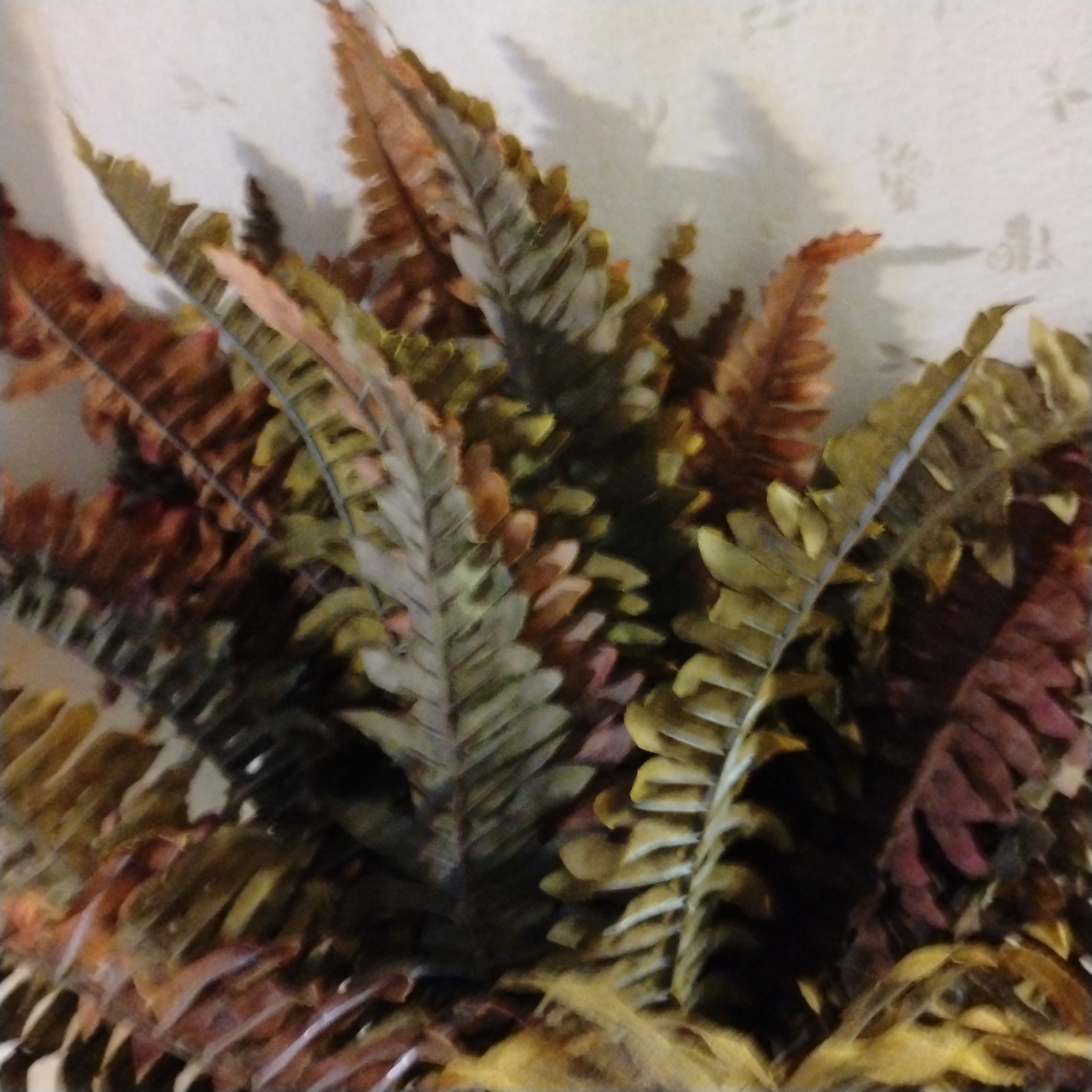 NWT Artificial Boston Fern Bush – 47 Olive & Tan Fronds – 23.50″ Tall