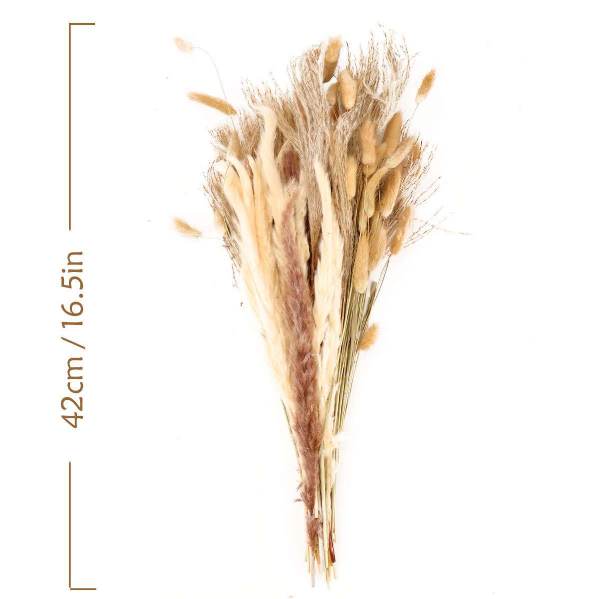 100PC Natural Dried Pampas Grass Boho Home Decor Bouquet Phragmites Dried Flower