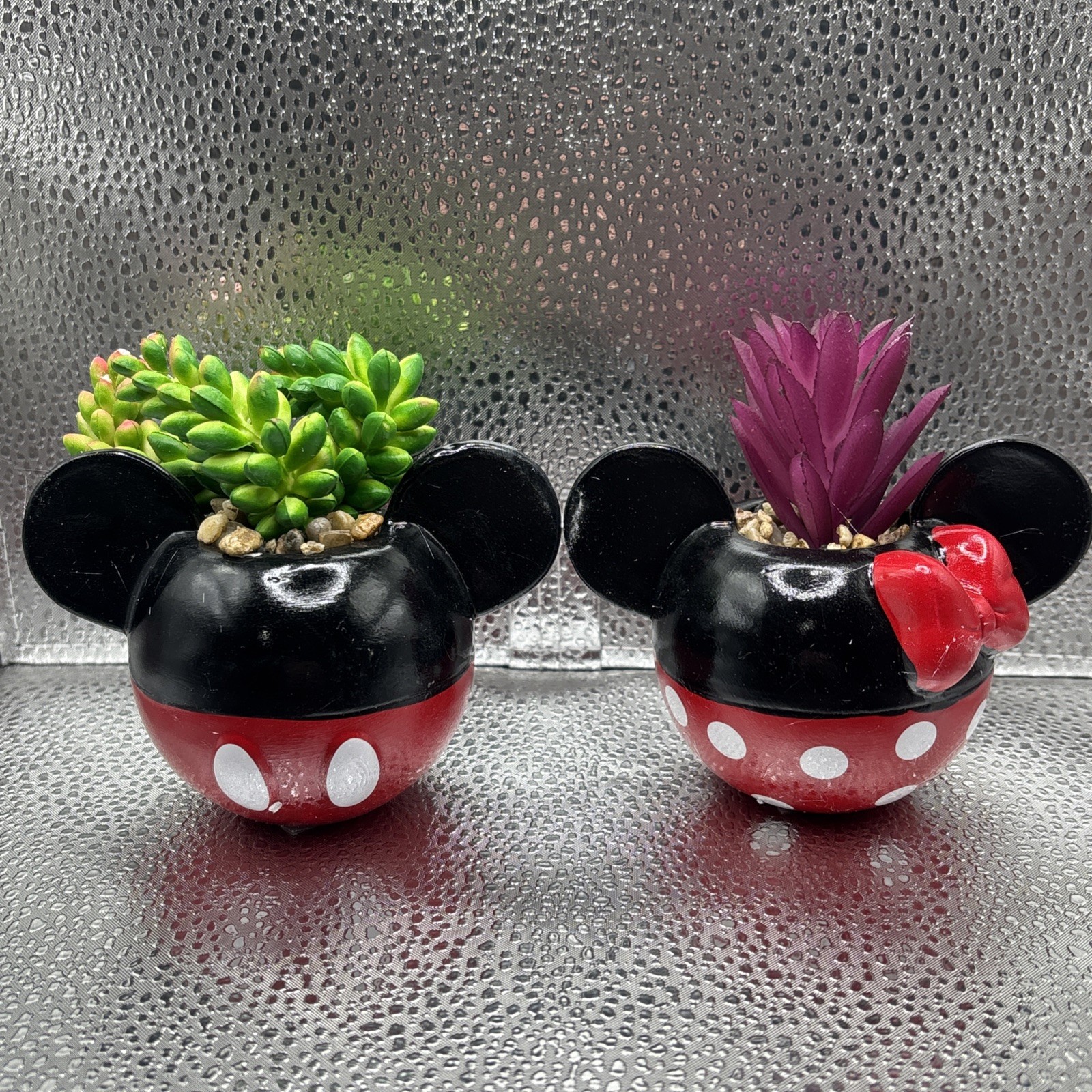 Mickey & Minnie Classic Succulent Set (2 Piece Set)