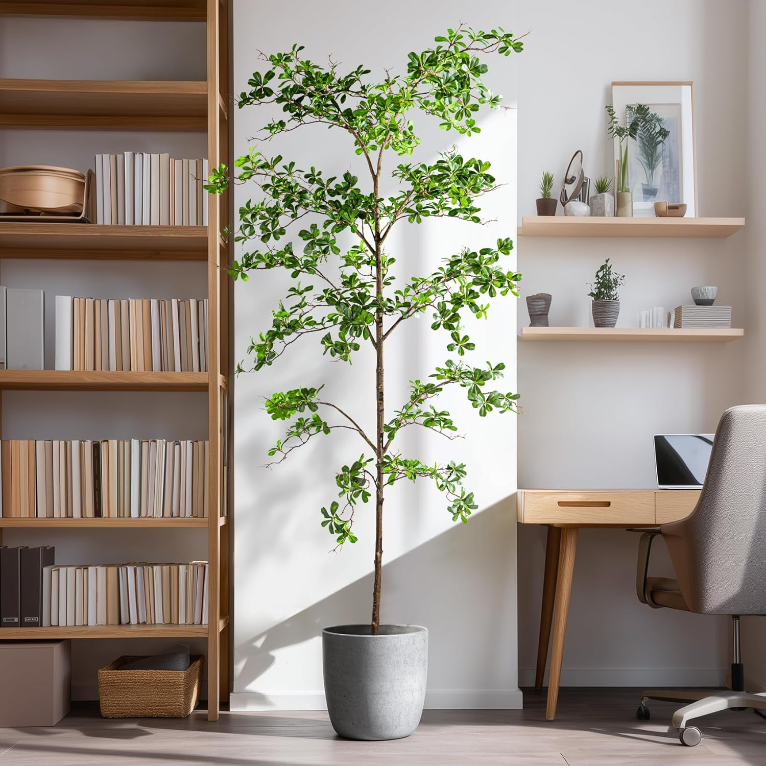 8Ft Faux Black Olive Tree – Realistic Indoor Decor with Natural Wood Trunk