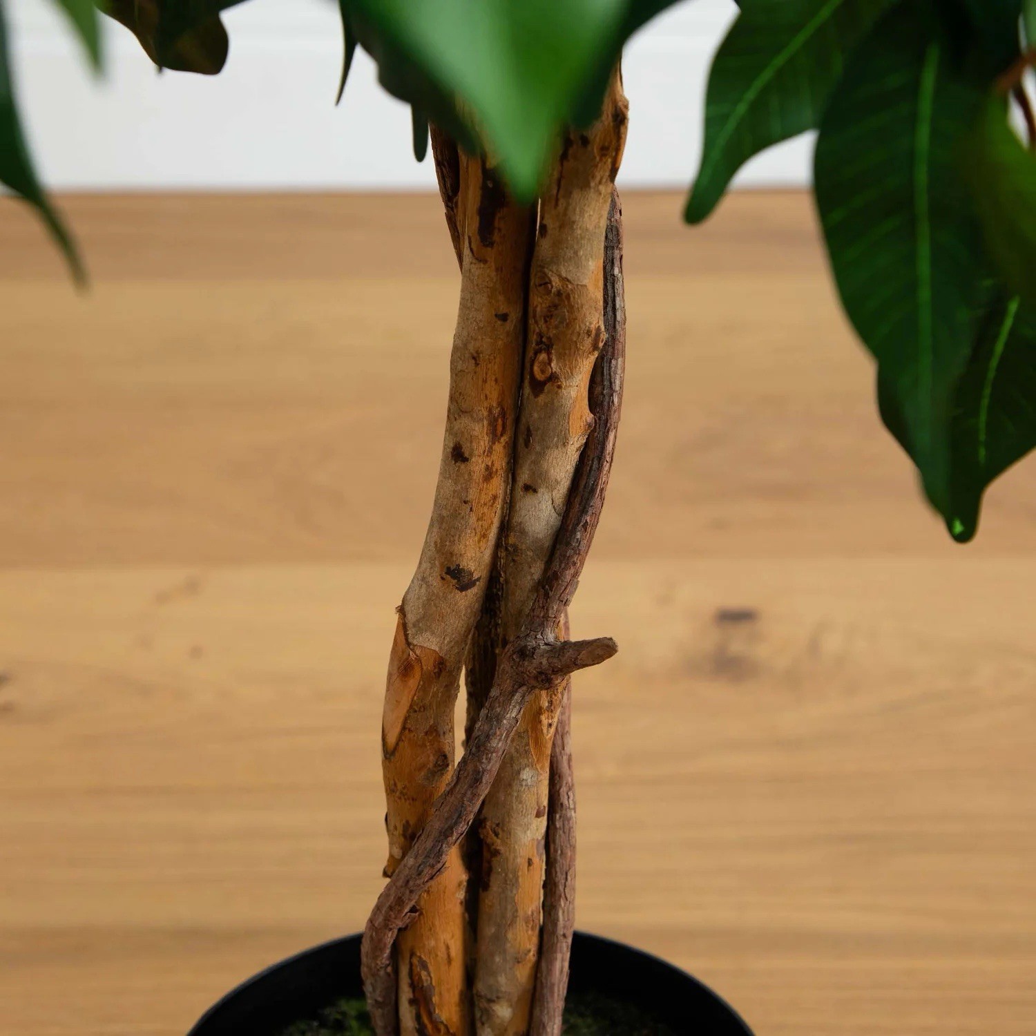4′ Artificial Ficus Auriculata Tree with natural Trunk.